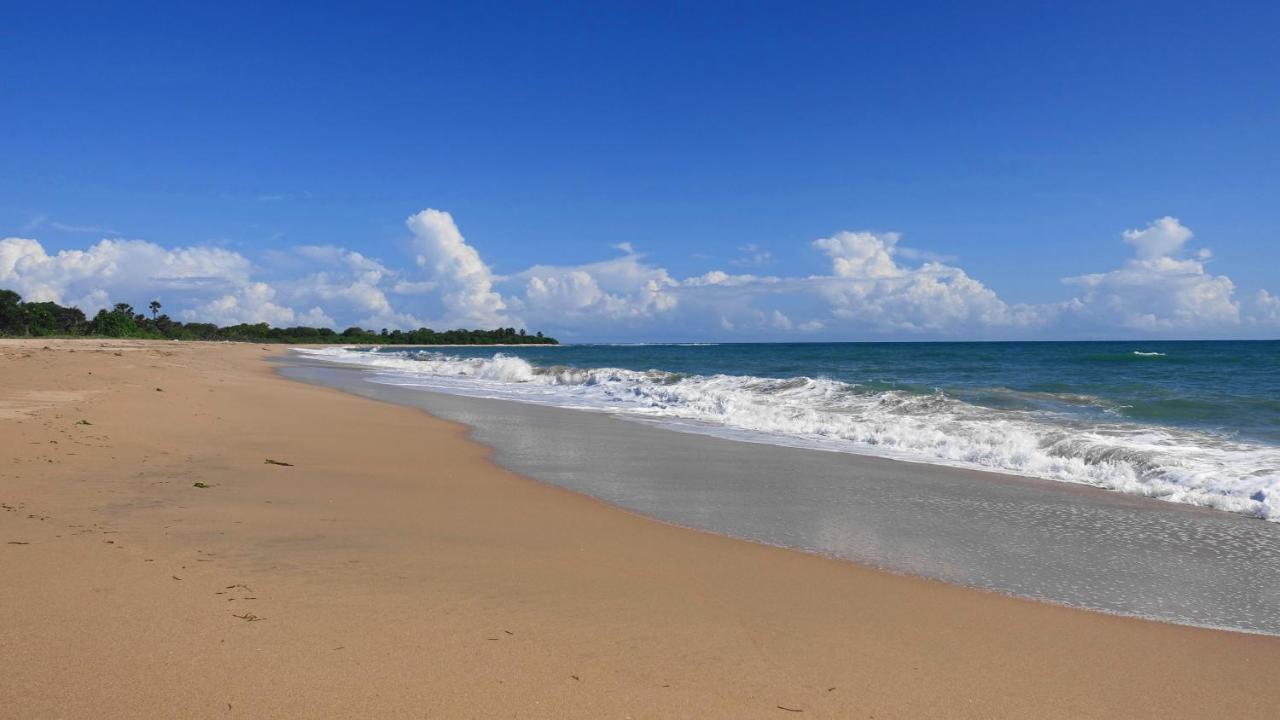 Regina Beach Bungalow Тринкомали Экстерьер фото