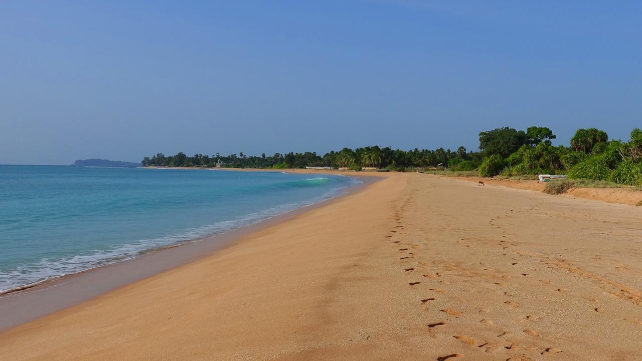 Regina Beach Bungalow Тринкомали Экстерьер фото